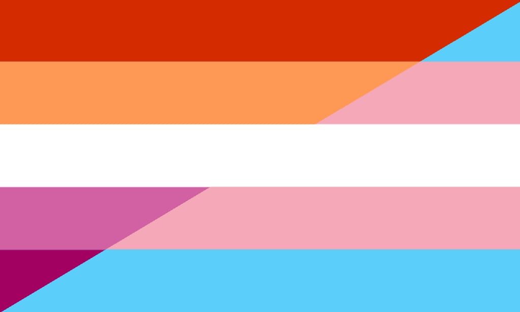 Transfeminine programme